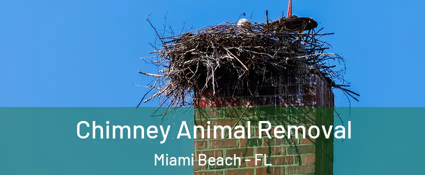 Chimney Animal Removal Miami Beach - FL