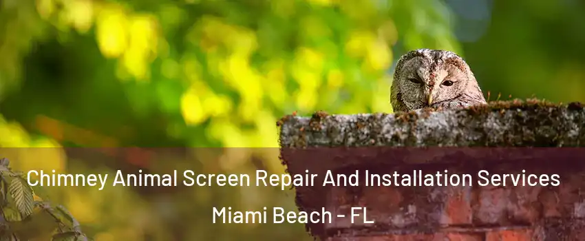  Chimney Animal Screen Repair And Installation Services Miami Beach - FL