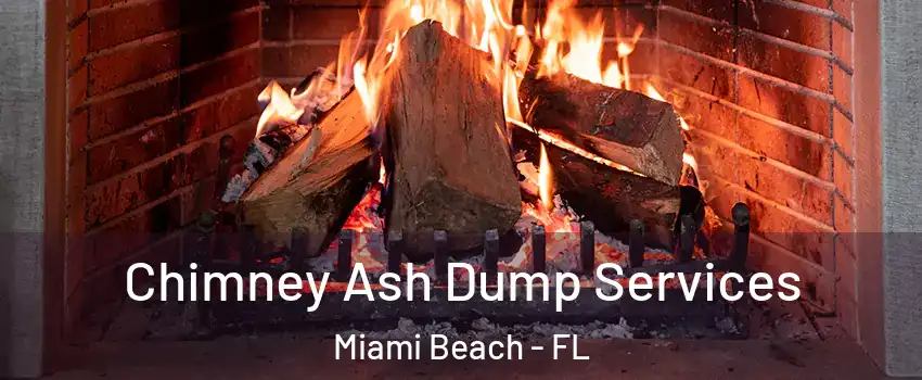  Chimney Ash Dump Services Miami Beach - FL