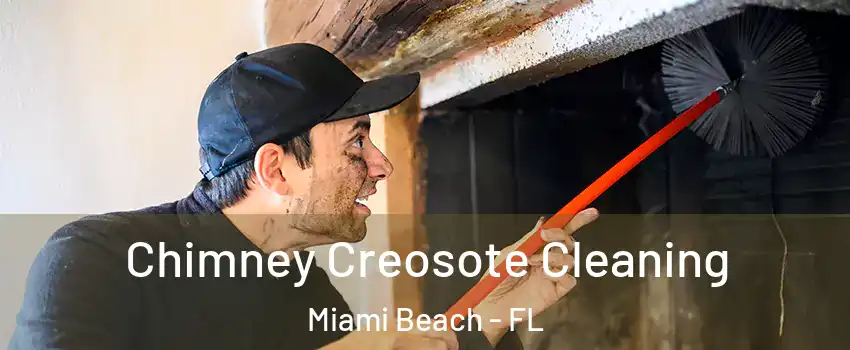  Chimney Creosote Cleaning Miami Beach - FL