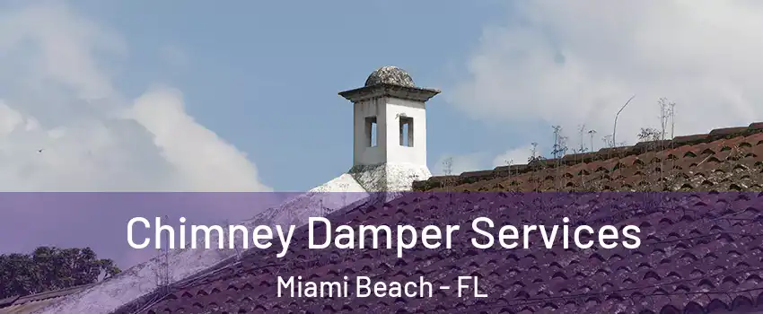  Chimney Damper Services Miami Beach - FL