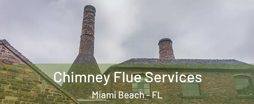  Chimney Flue Services Miami Beach - FL