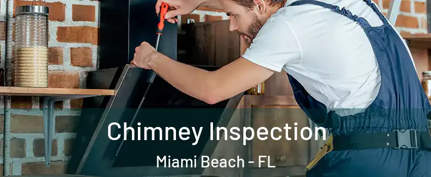  Chimney Inspection Miami Beach - FL