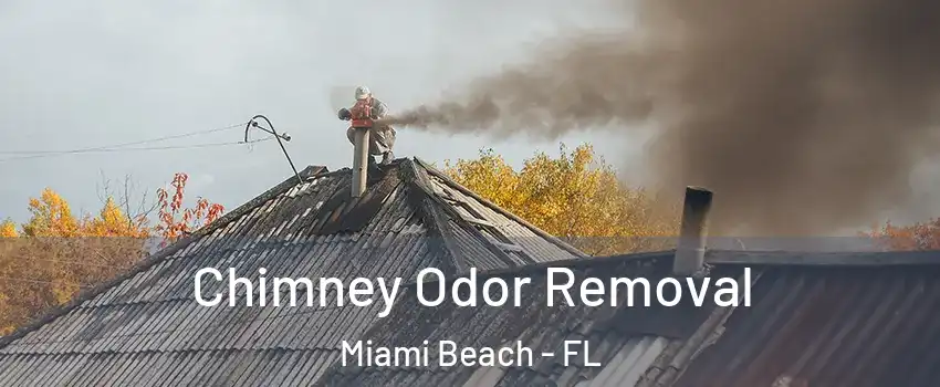  Chimney Odor Removal Miami Beach - FL
