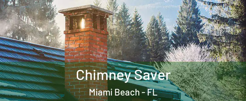  Chimney Saver Miami Beach - FL