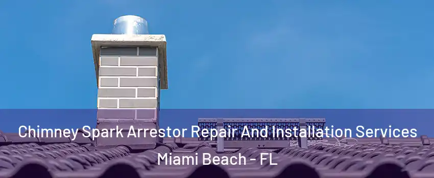  Chimney Spark Arrestor Repair And Installation Services Miami Beach - FL