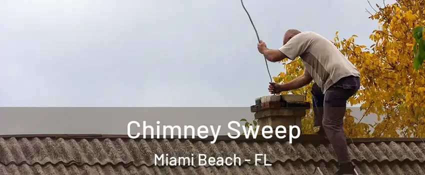  Chimney Sweep Miami Beach - FL