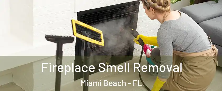  Fireplace Smell Removal Miami Beach - FL