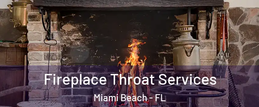  Fireplace Throat Services Miami Beach - FL