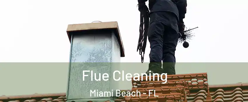  Flue Cleaning Miami Beach - FL