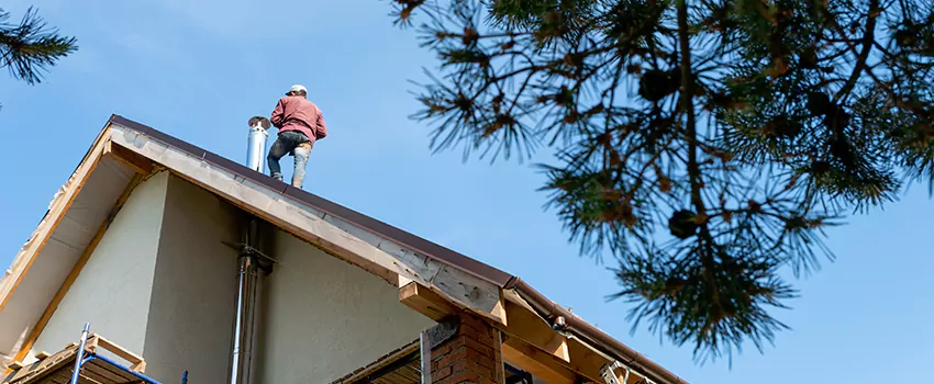 Birds Removal Contractors from Chimney in Miami Beach, FL