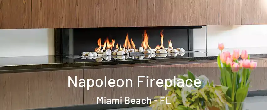  Napoleon Fireplace Miami Beach - FL