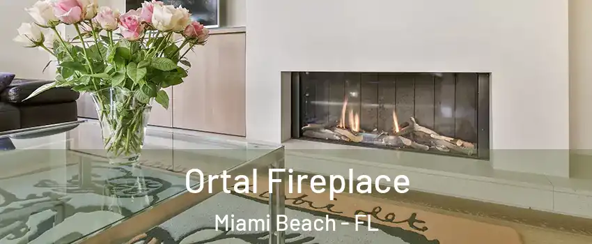 Ortal Fireplace Miami Beach - FL